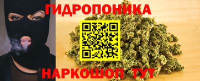мяу мяу мука Краснознаменск