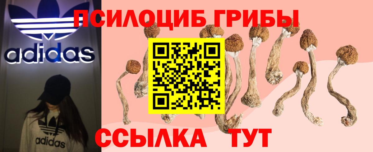 Галлюциногенные грибы MAGIC MUSHROOMS  Вход с VPN  Кировск 